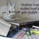 Illustration for article titled A GUIDE TO BRIMSGs BUNNY-BOMBING™ (WITH UPDATE!)